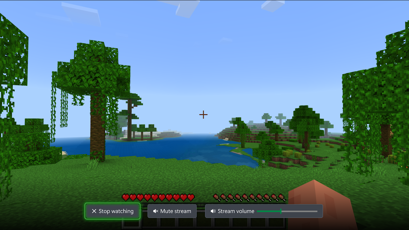 A Discord stream being viewed on an Xbox console.